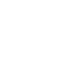 Musen & Elefanten